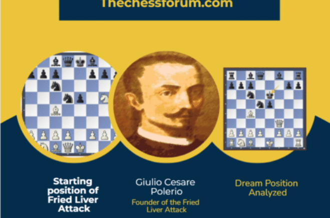 Fried Liver Attack Chess Opening [Explained]