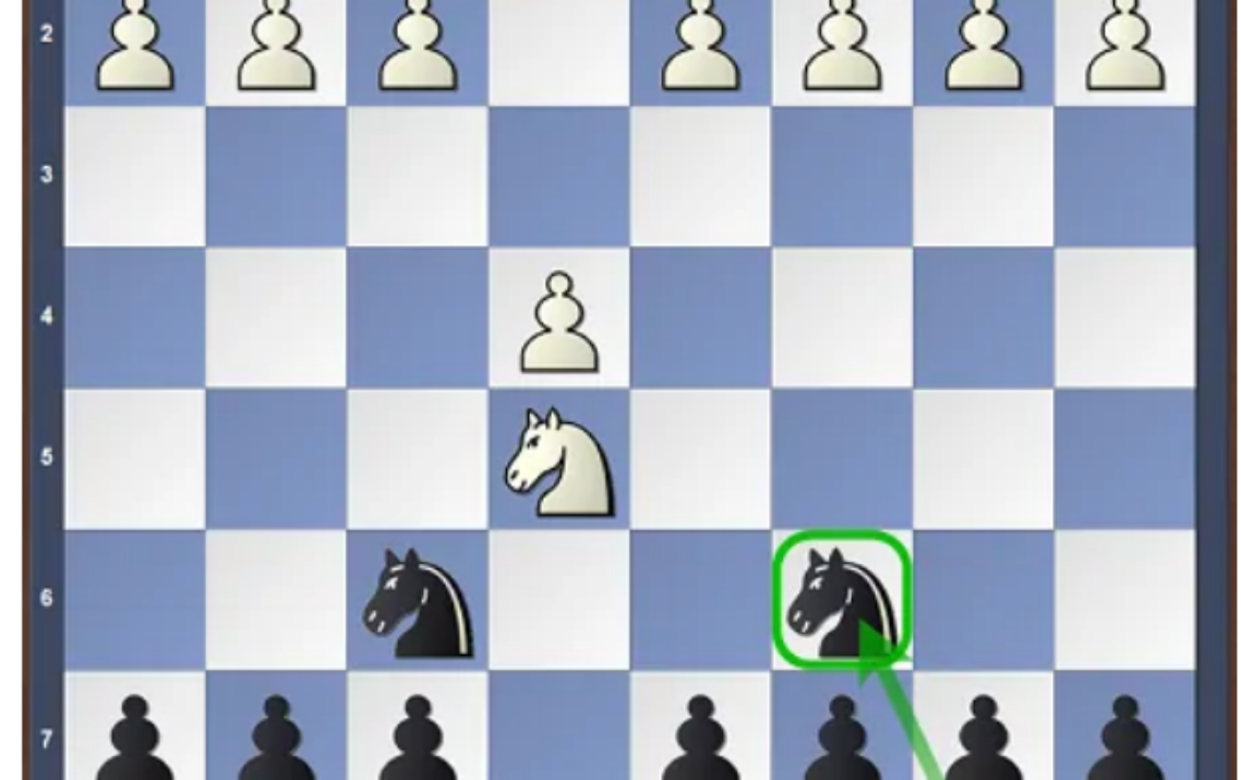 Stafford Gambit (Guide And Repertoire)