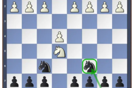 Stafford Gambit (Guide And Repertoire)
