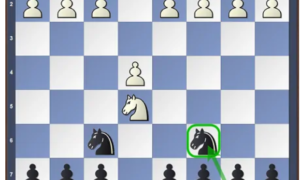 Stafford Gambit (Guide And Repertoire)