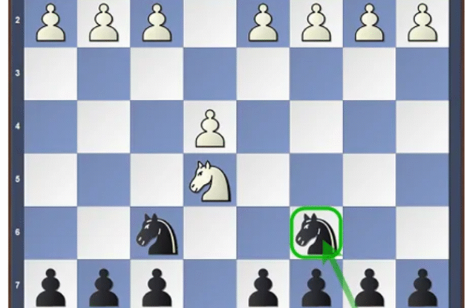 Stafford Gambit (Guide And Repertoire)