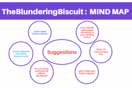 TheBlunderingBiscuit should avoid blunders (Case Study#4)