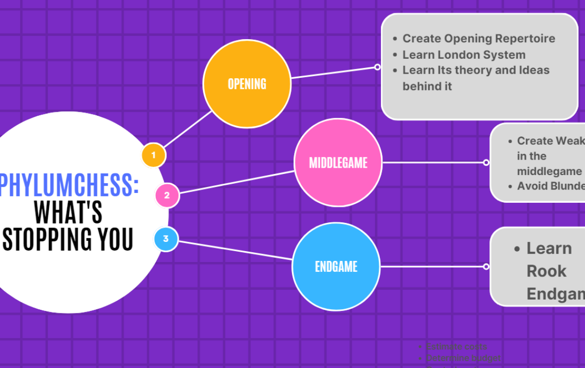 PhylumChess: What’s stopping you (Case Study#9)