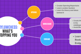 PhylumChess: What’s stopping you (Case Study#9)