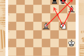 Blackburn’s mate (Blackburn’s trap)