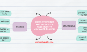 Chess Strategies and Tactics for Beginners to Advanced Players
